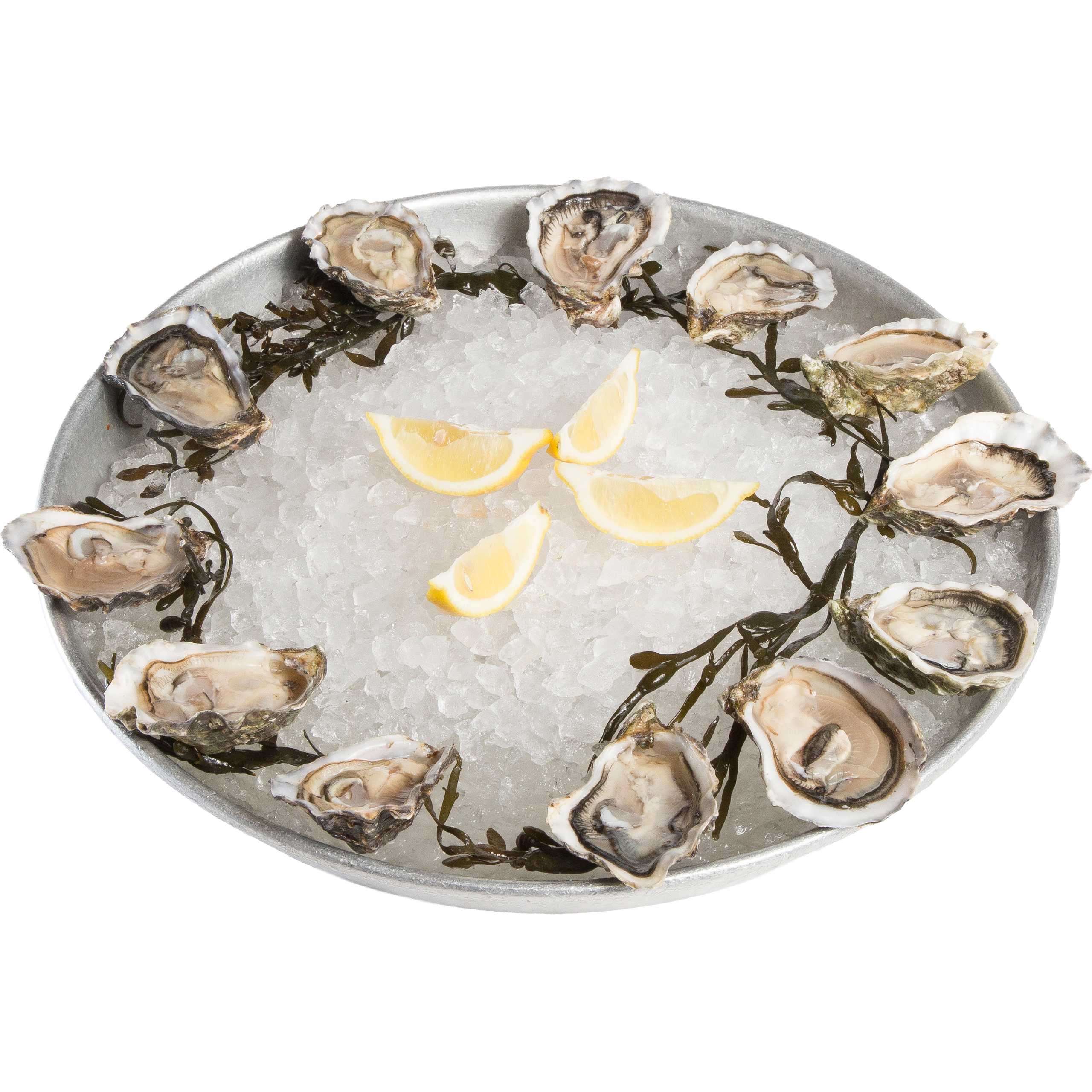 Oesters Premium