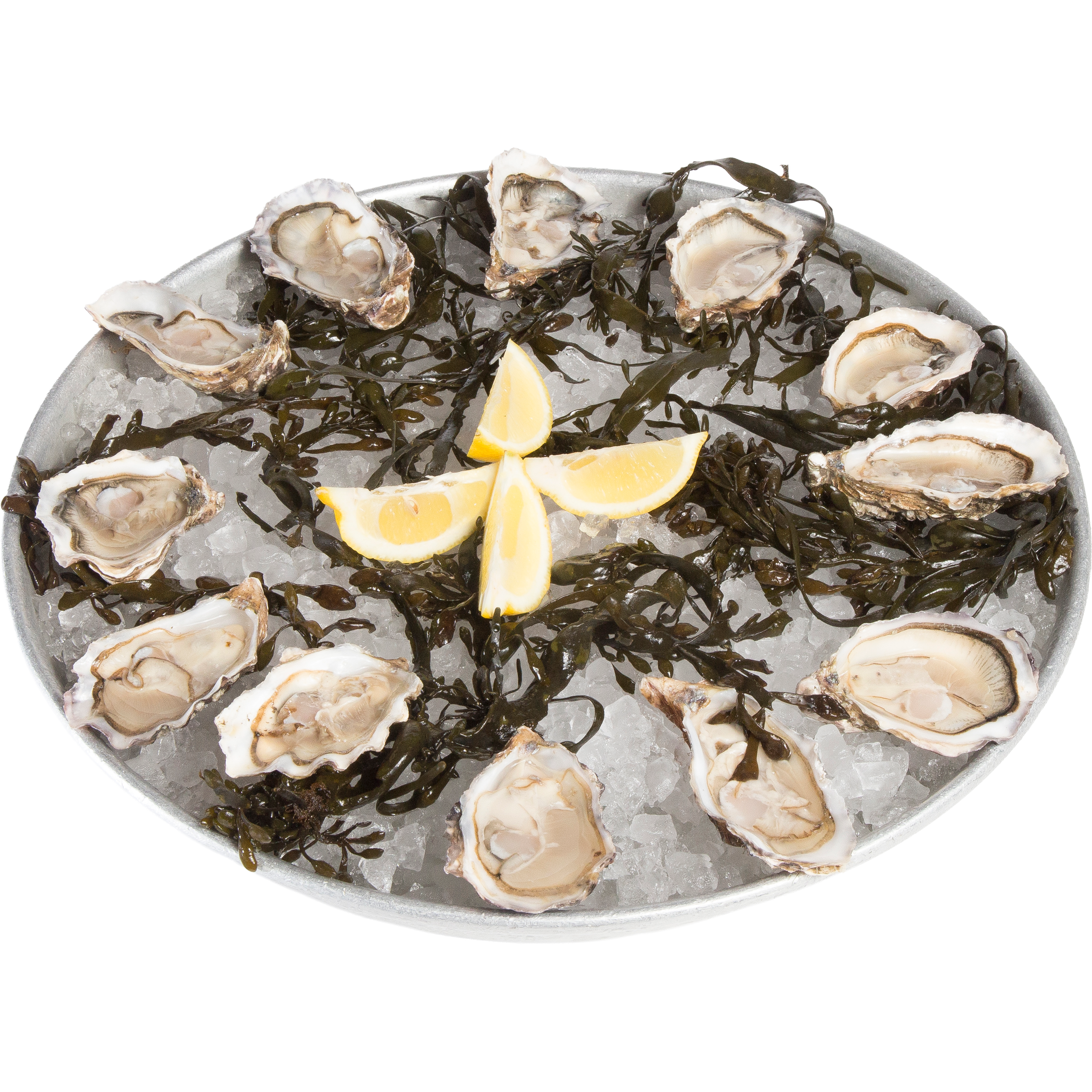 Oesters Werfparel