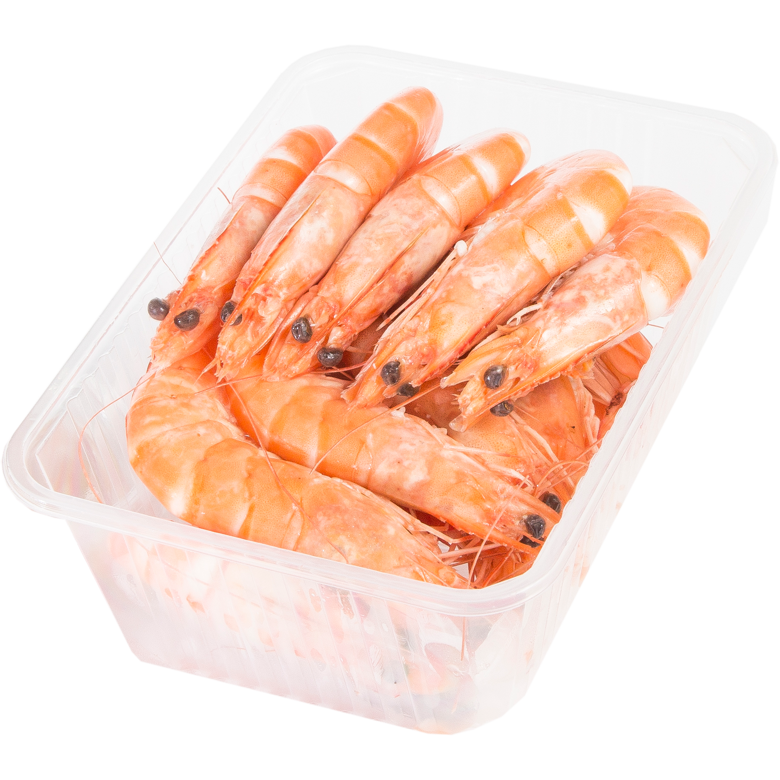 Crevettes royale
