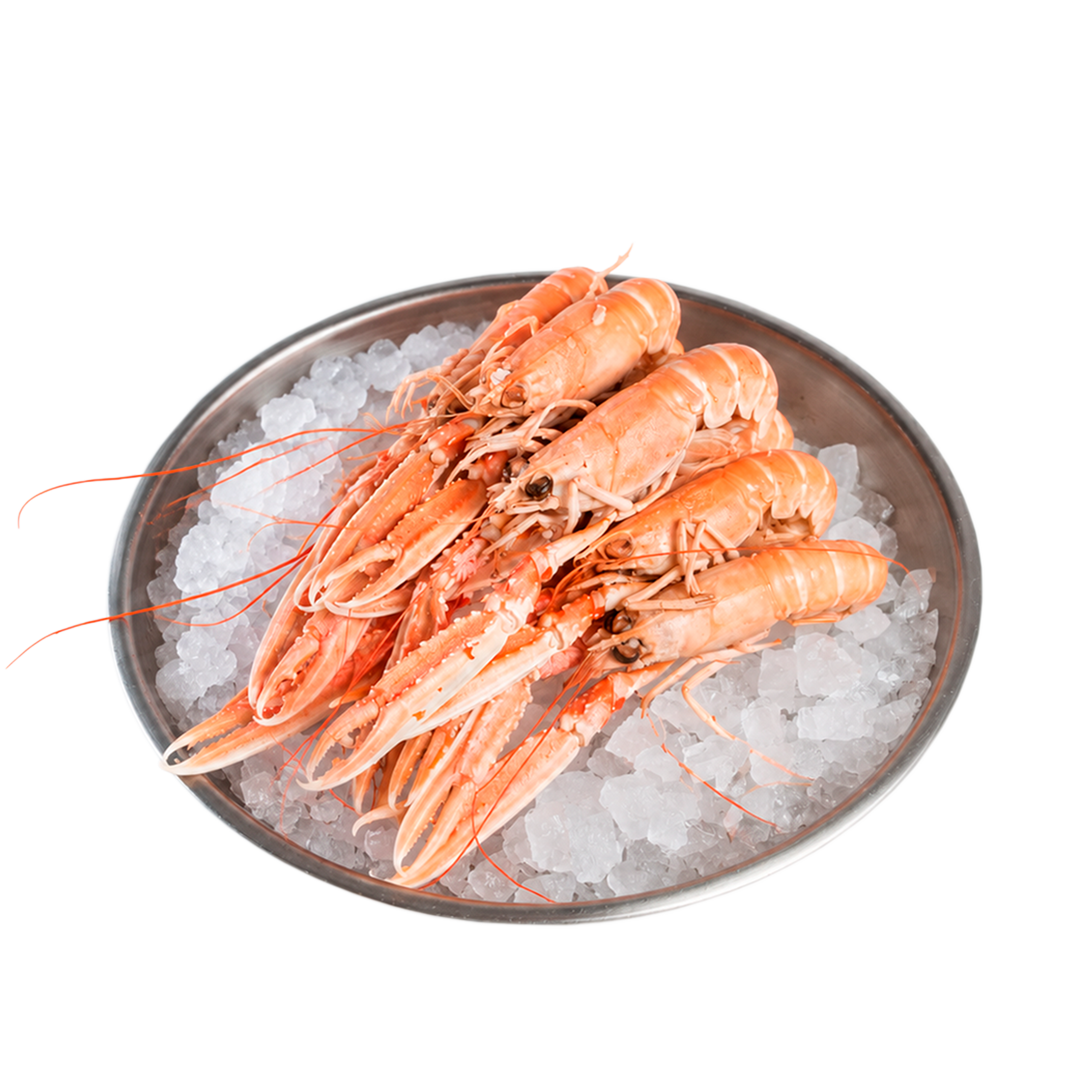 Gekookte langoustines