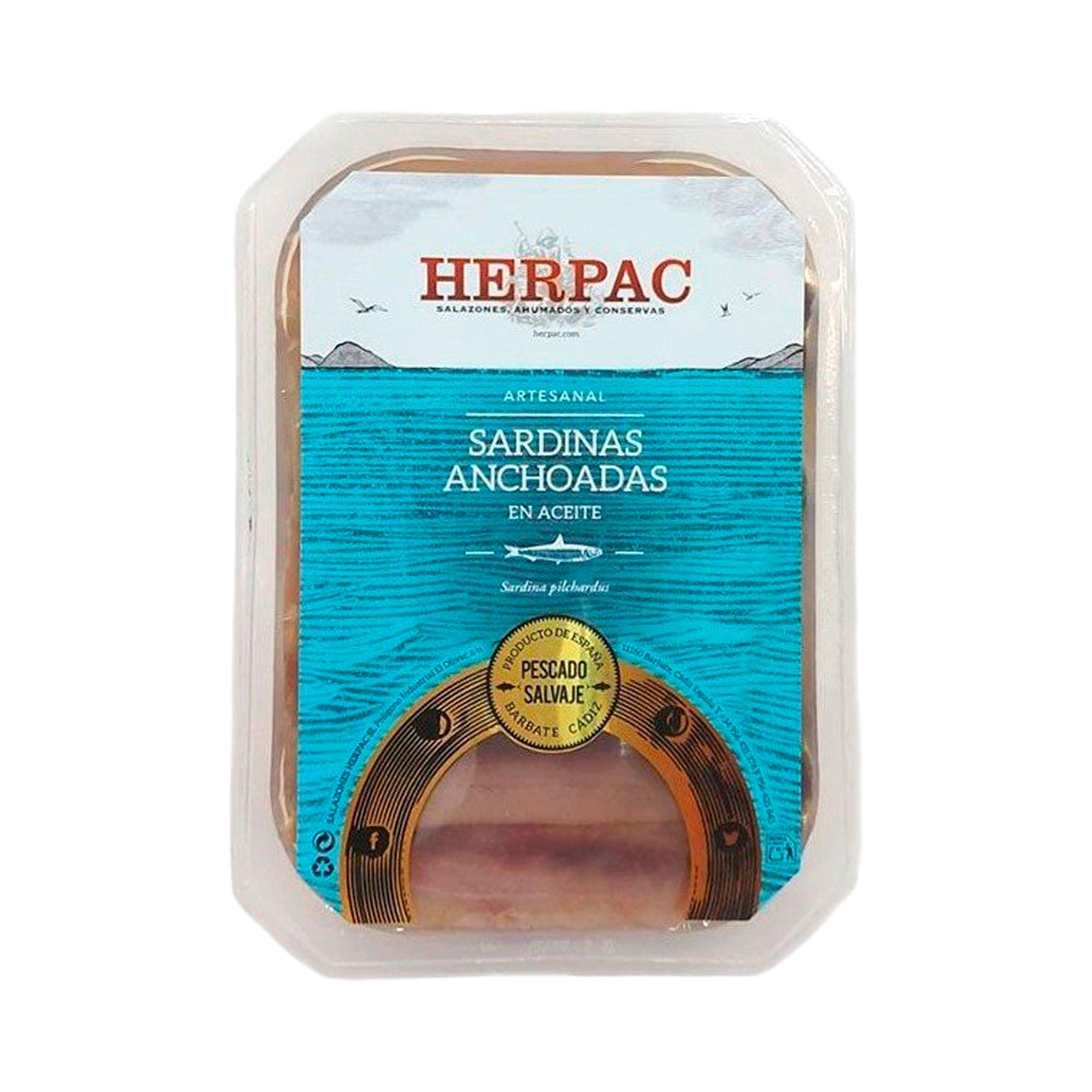 Sardinas anchoadas