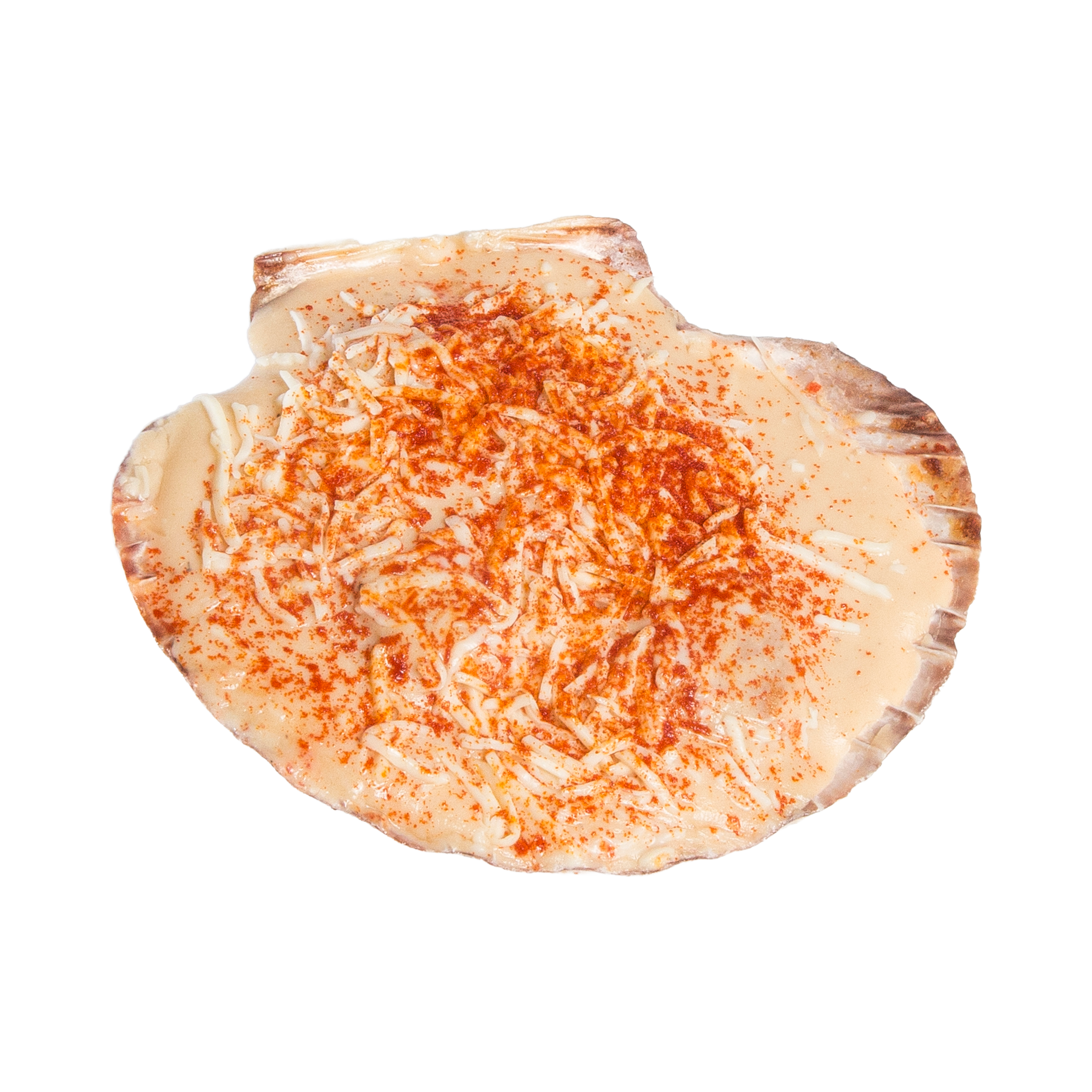 Gegratineerde coquilleschelp